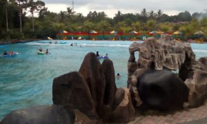 wp-image-289653393jpg.jpeg