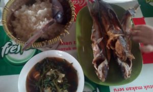daploen-5