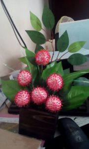 tutorial-rambutan