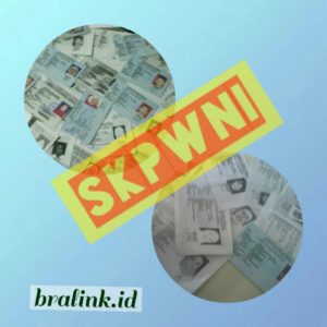 skp-wni