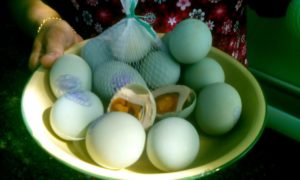 telur-asin-cilapar-2