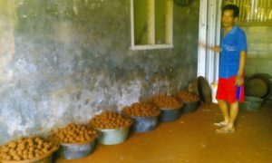 telur-asin-cilapar