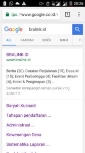 bralink-id