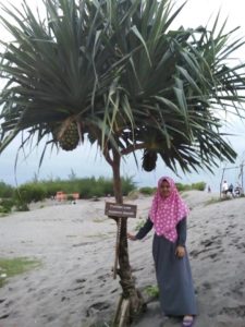 gumuk-pasir