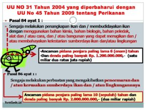 larangan-menggunakan-bahan-kimia-untuk-menangkap-ikan