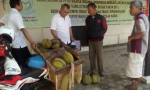 penjual durian desa sidareja