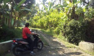 sinduraja tangkil