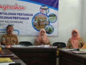 BPP targetkan peningkatan produktivitas 1