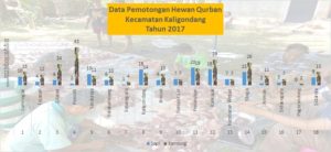 data hewan qurban