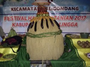 BPP juara festival pertanian