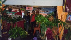 BPP juara festival pertanian1