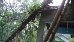DSC05271