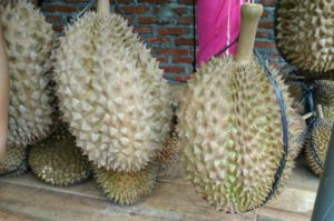 durian 1