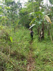 pembukaan jalan baru mlayang sidareja titik 0