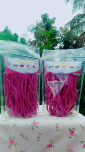 stick pagerandong1